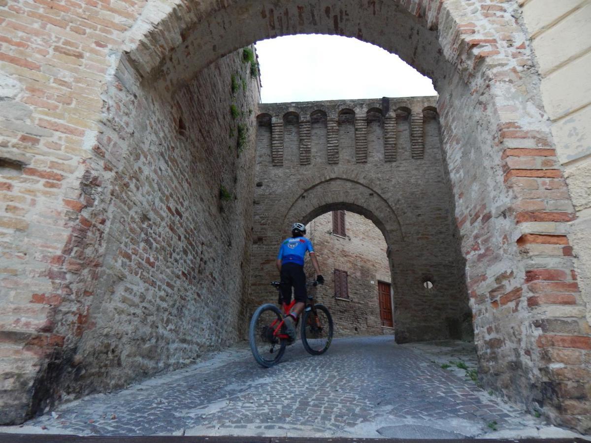 Recchi Franceschini Bike Hotel Last - Minute - Availability Montalto delle Marche Exterior photo