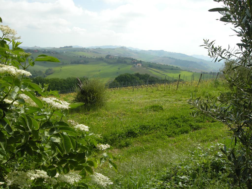 Recchi Franceschini Bike Hotel Last - Minute - Availability Montalto delle Marche Exterior photo