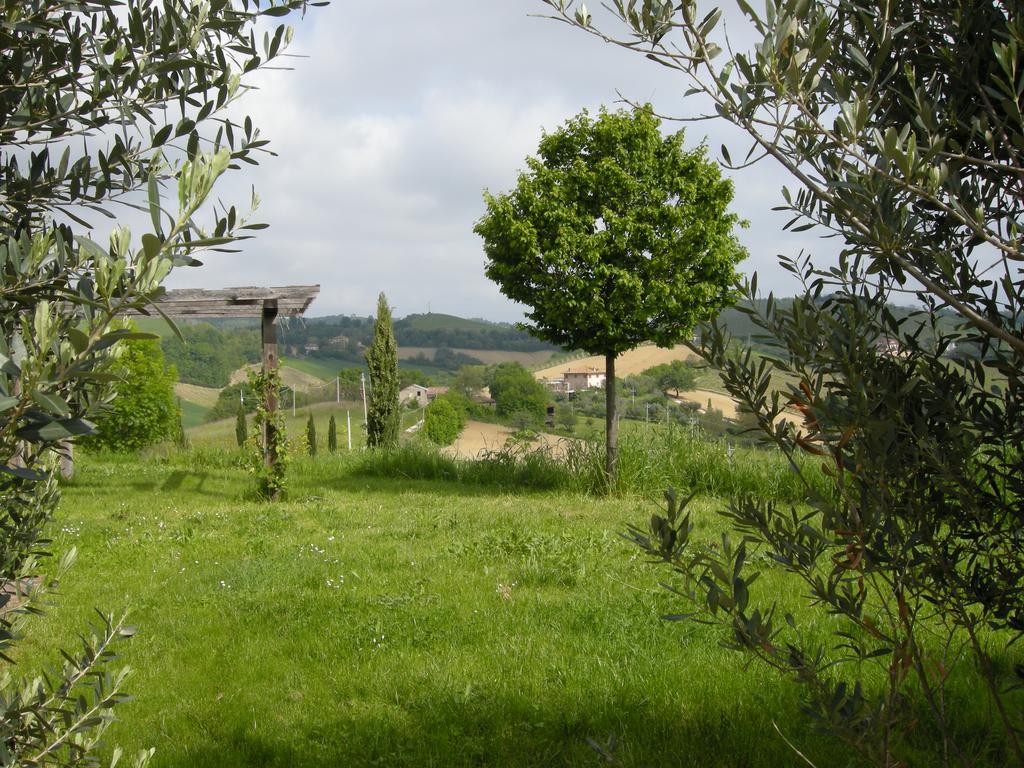 Recchi Franceschini Bike Hotel Last - Minute - Availability Montalto delle Marche Exterior photo